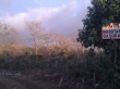 IMAG0295