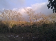 IMAG0296